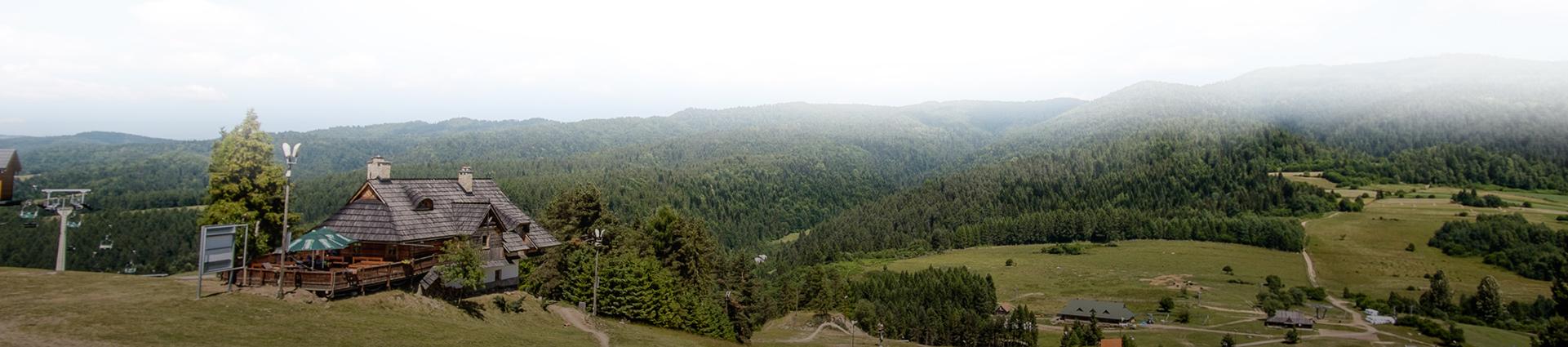 panorama na lasy, góry